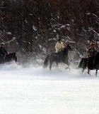 Foto: Timo. Åkare: Jag & Kingen.