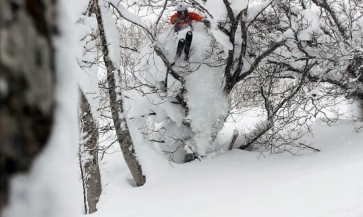 Köttar träd i Niseko!. Foto: Johan Almroth. Åkare: Johan Sundström.
