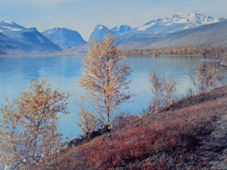 Foto: Erik Sandström.