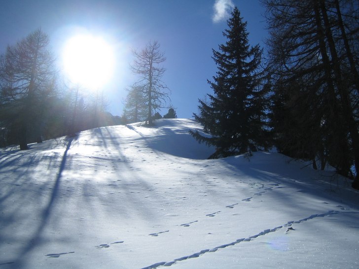 Foto: Jakob Johansson. Åkare: Moderjord.