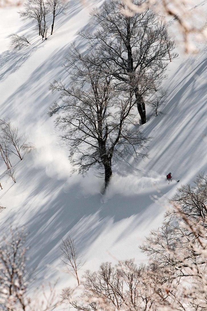 Mattias på telemark försöker svälja trädet me. Foto: Niclas Magnusson. Åkare: Mattias Unander.