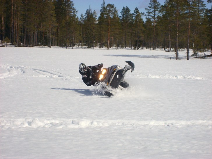 härlig myr nära kläppen (:. Foto: T.