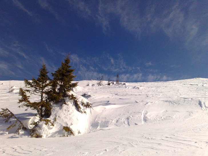 Foto: Fredrik Åkerblom.