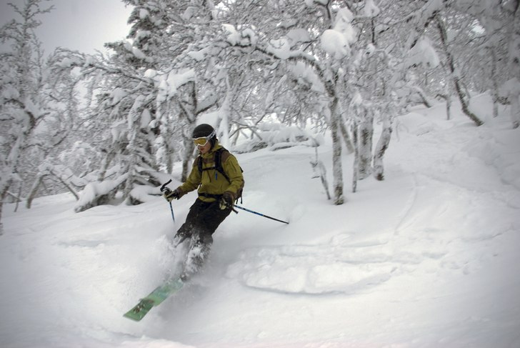 Foto: Janne Holmgren. Åkare: Erik Holmgren.