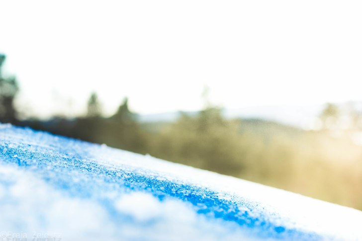 Taget i väntan på åkarna. 
Landningen från an. Foto: Freja Zeidlitz.