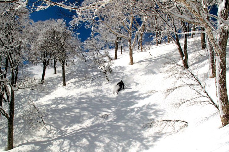 Ett åk från baksidan som slutar i en dal utan li. Foto: Andrew Taylor. Åkare: Sebastian Ailert.