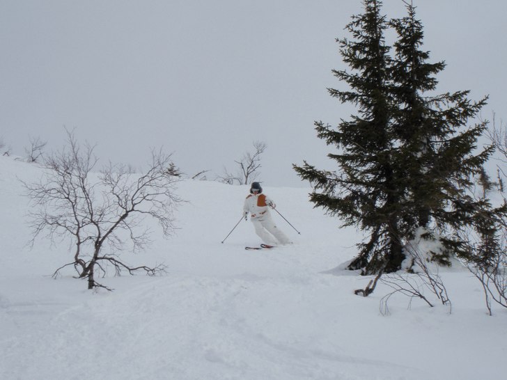 Foto: Johan Löfgren. Åkare: Henrick Broman.