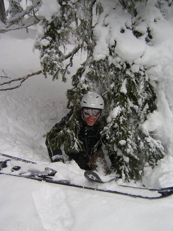 en av de bästa puderdagarna förra vintern som p�. Foto: frida hamrén. Åkare: per björklund.
