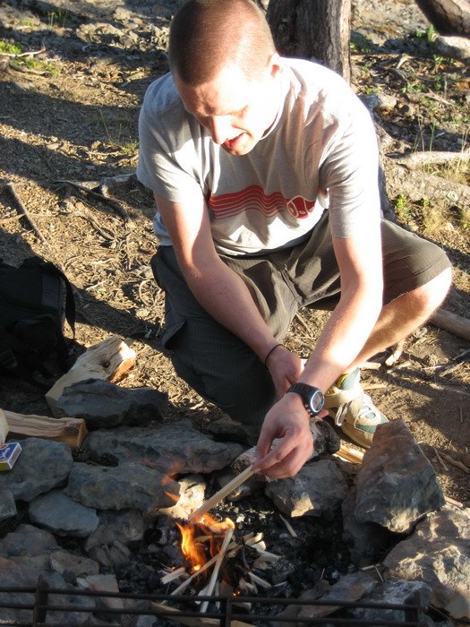 MYCKE ELLER?. Foto: Johanna. Åkare: Tomas Wiklund.