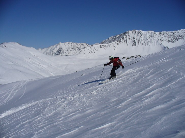 Vi hittade trots allt ett fält med lite orörd ka. Foto: Stefan Vikberg. Åkare: Karin Ekström.