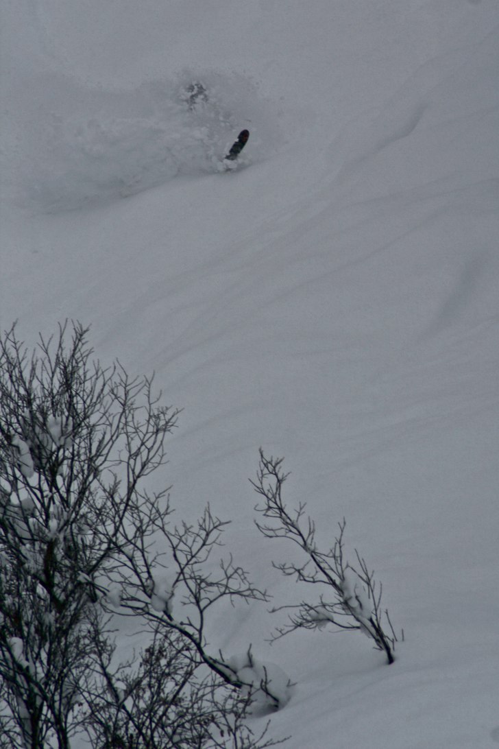 Foto: Felix Grunert. Åkare: Rikard Lindblad.
