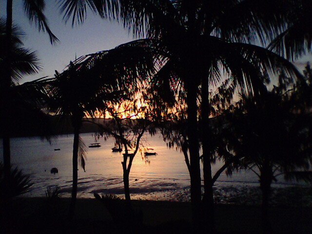 mysss. Foto: jag. Åkare: ingen.