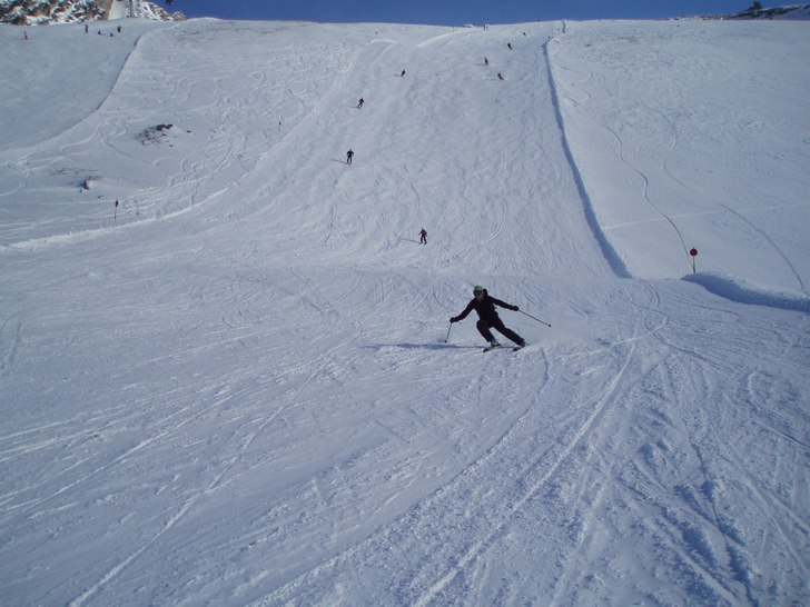 Foto: Mattias Liss. Åkare: Jonas Olsson.