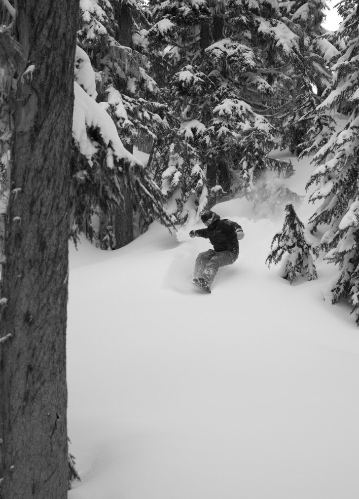 Khyberskogen är oändlig och helt fantastisk. Foto: Jens Andersson. Åkare: Emil Rydell.