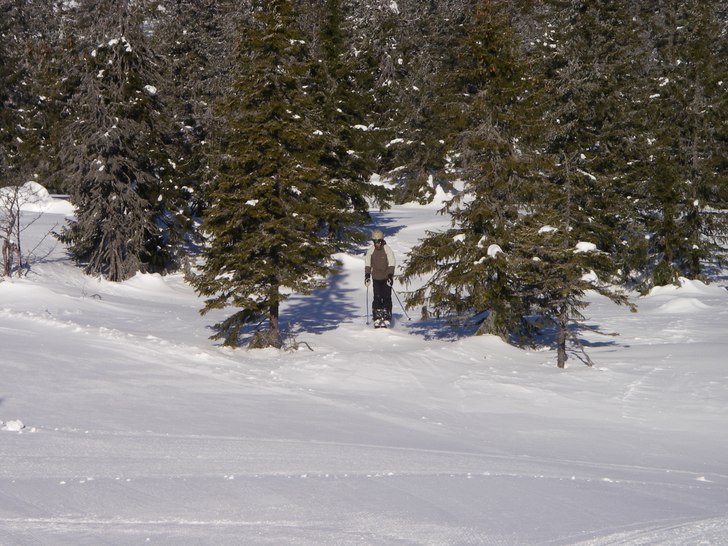 Letar mig ut ur skogen igen.. Foto: Sofie Bäcklund. Åkare: Daniel Erlingfors.