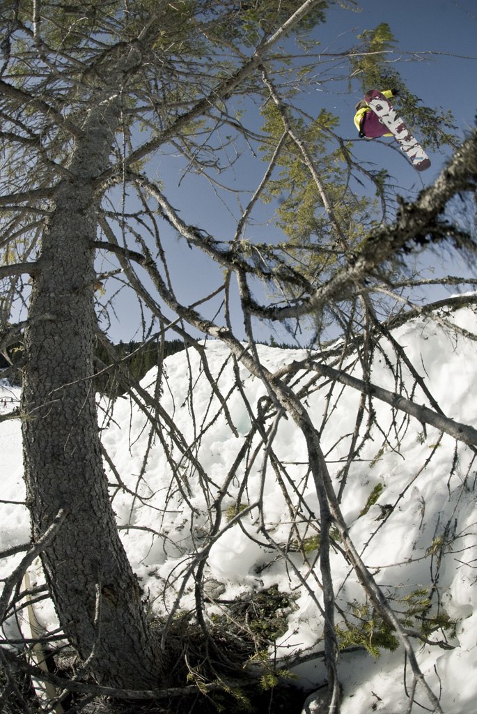 Foto: Daniel Rönnbäck.