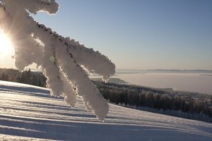 Foto: Jonas Wahlstrand.