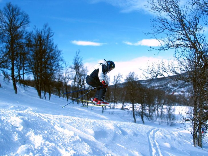 Lite luft innan skogen ner mot Buskvallen.. Foto: Voltaren. Åkare: Fredde.