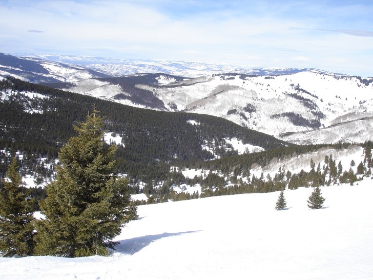 Foto: Magnus Larsson.