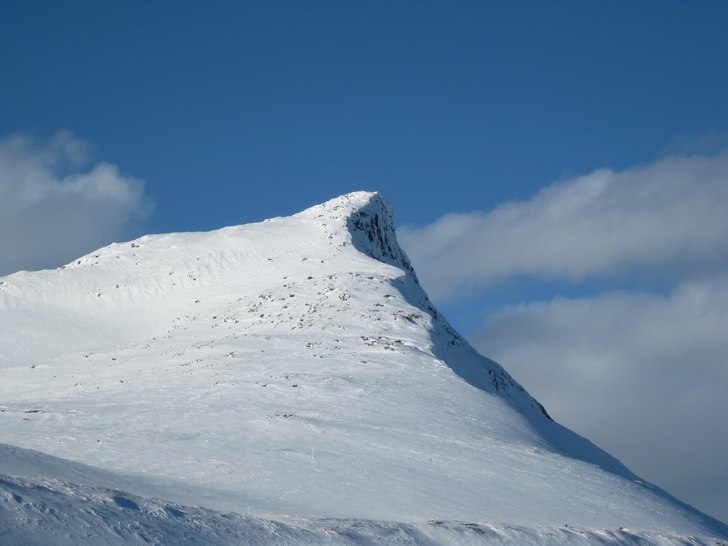 Foto: Anton Lithén.