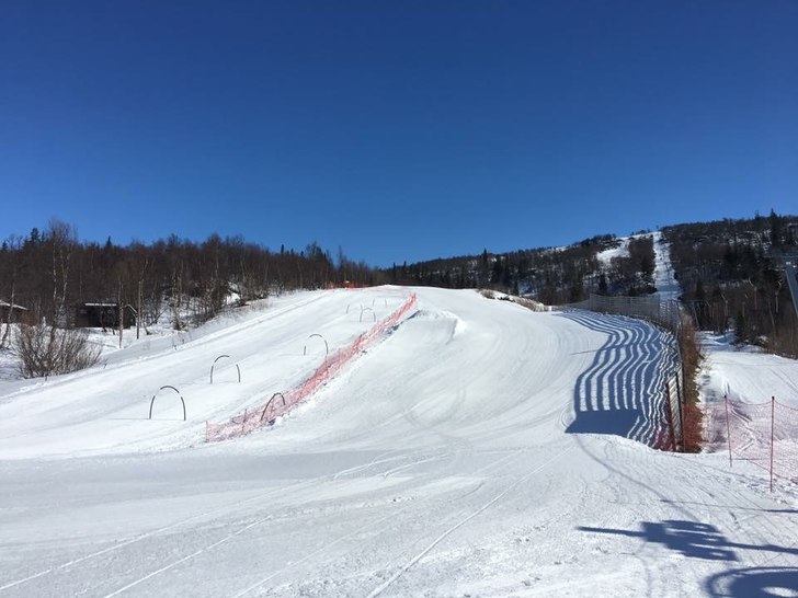 Topp forholde!☀
Flotte løyper, blå himmel og s.