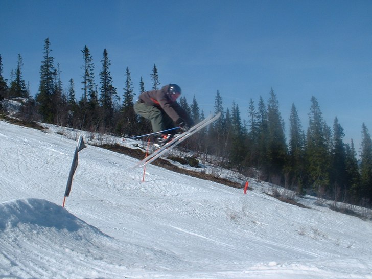 Foto: Helene danielsson. Åkare: Ante.