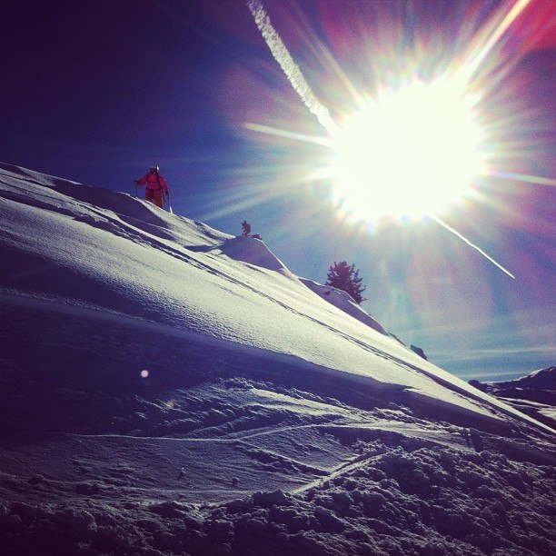 Foto: Martin Holm. Åkare: Johanna Holm.
