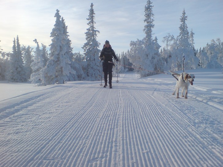Manchester på platten. Foto: Robert Bahrd.