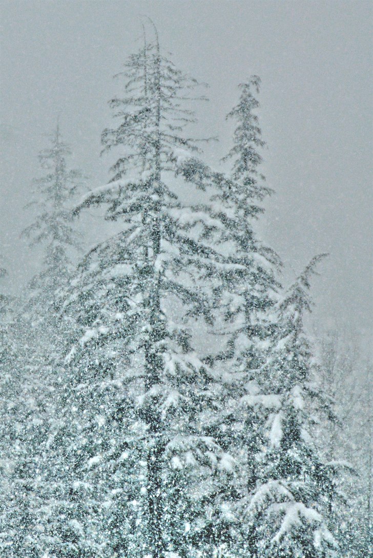 När de snöar i Whistler... då snöar de ordentl. Foto: Simon Pontér.