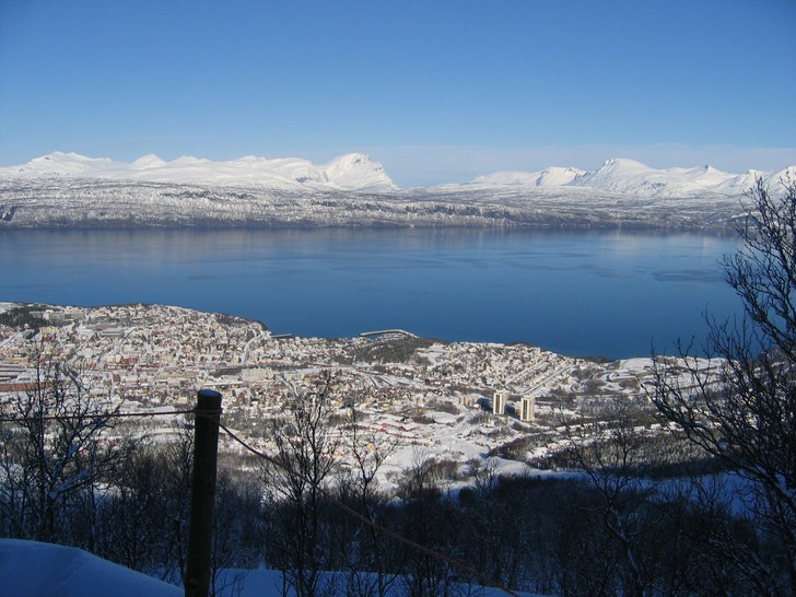 Utsikt över Narvikfjorden från släplift 3. Foto: Peder Johansson.