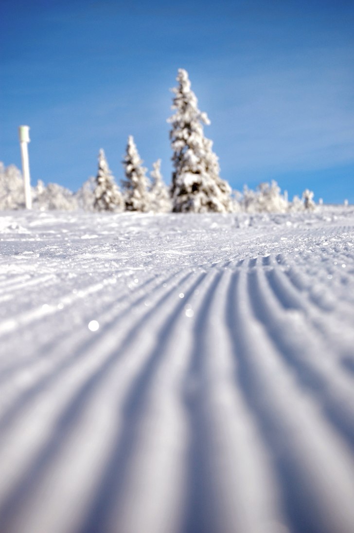 Foto: Daniel Jansson (Jag).