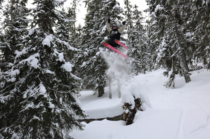 Foto: Wille ihse. Åkare: John selvin.