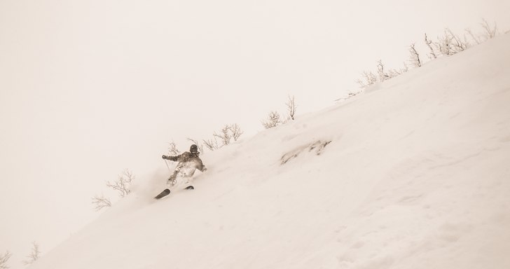 Foto: Johan Nilsson.