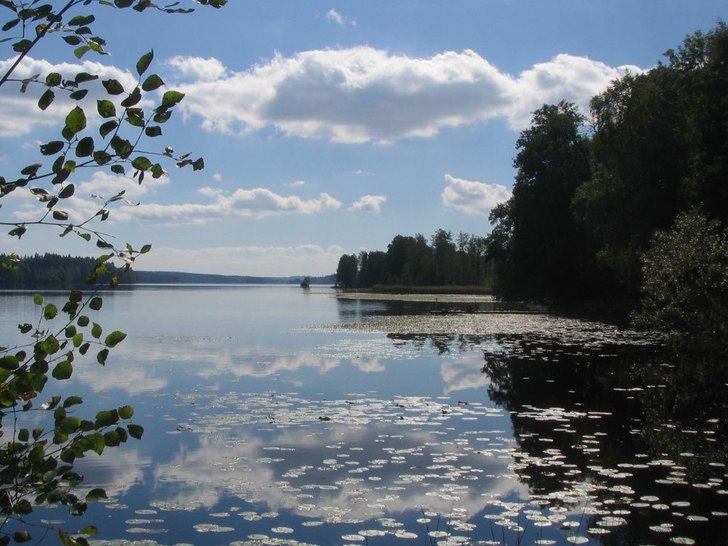 Foto: Viktor Andermo.