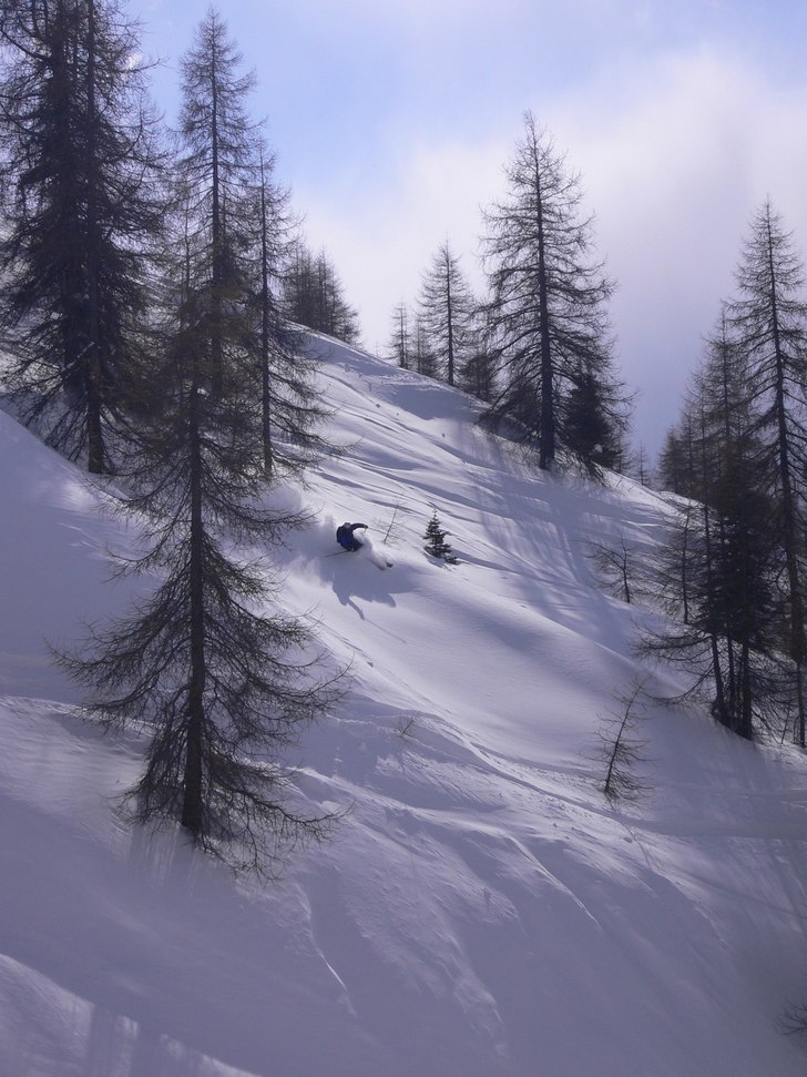 Mycket snö i skogen.... Foto: Anders Rotstein. Åkare: Peter Kaminski.