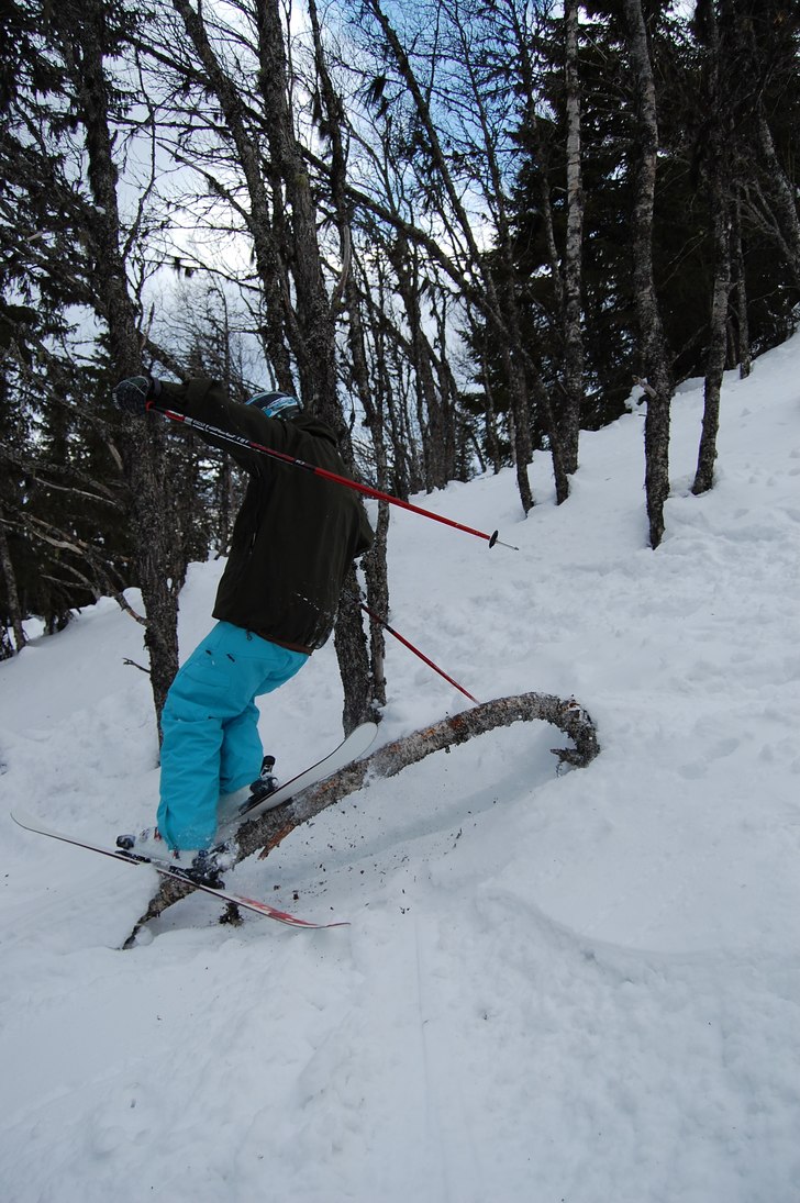 lite jibb i skogen. Foto: emil gustavsson. Åkare: anton hartell.