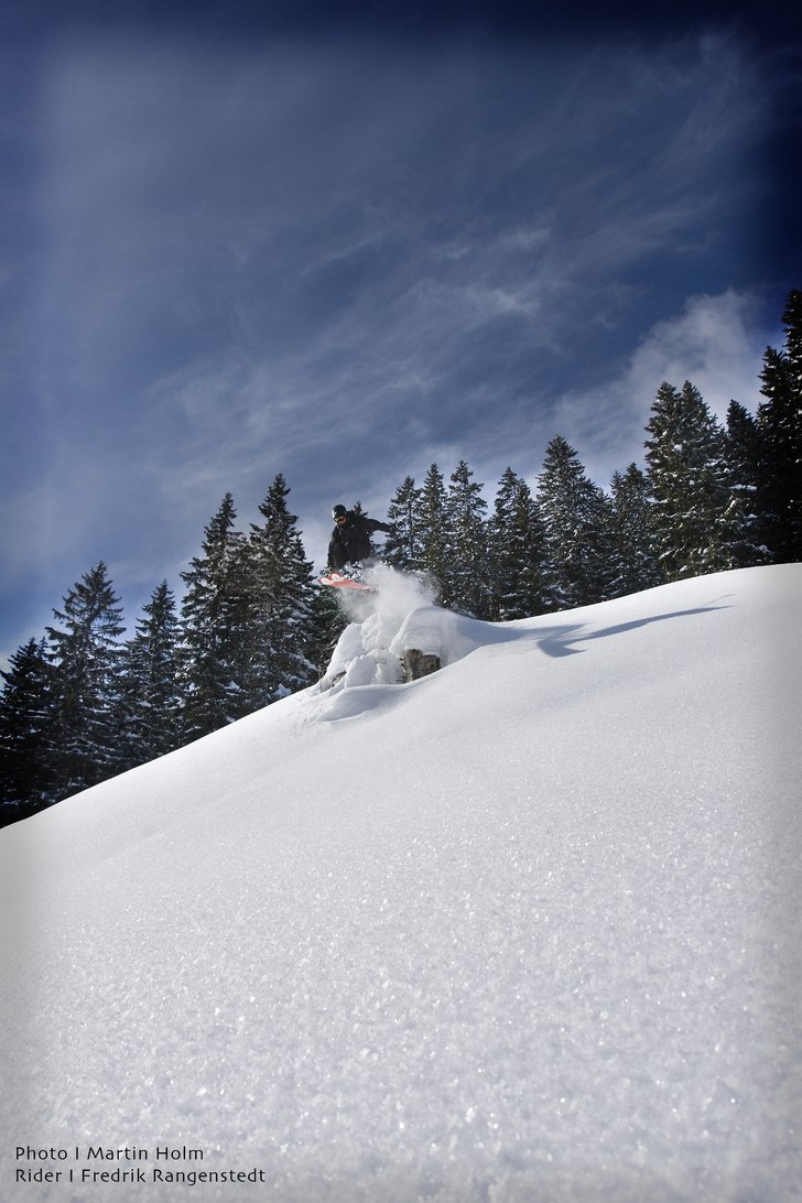 en liten stubbe på ett öppet fält. Foto: Martin Holm. Åkare: Fredrik Rangenstedt.