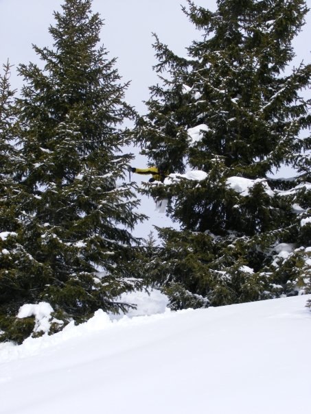 Foto: Antti Suhonen. Åkare: Ted Wennström.