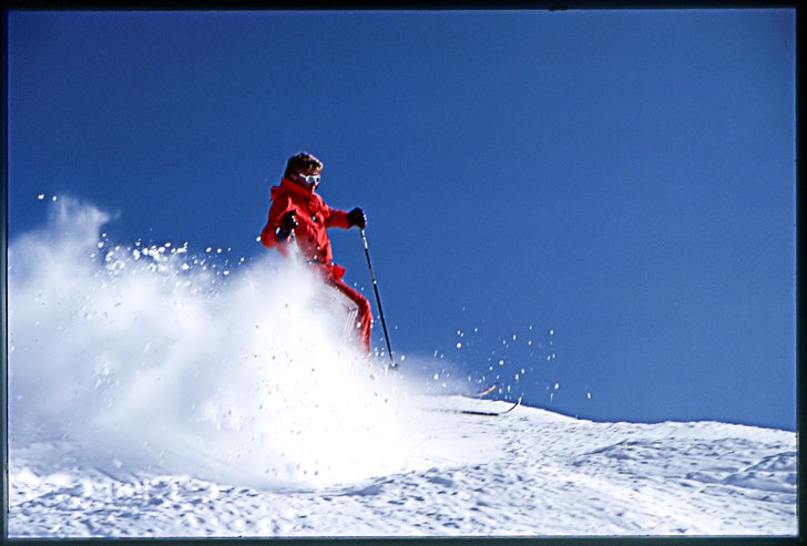 Foto: (c) 2006 Stefan Bogren. Åkare: Stefan Björsegård.