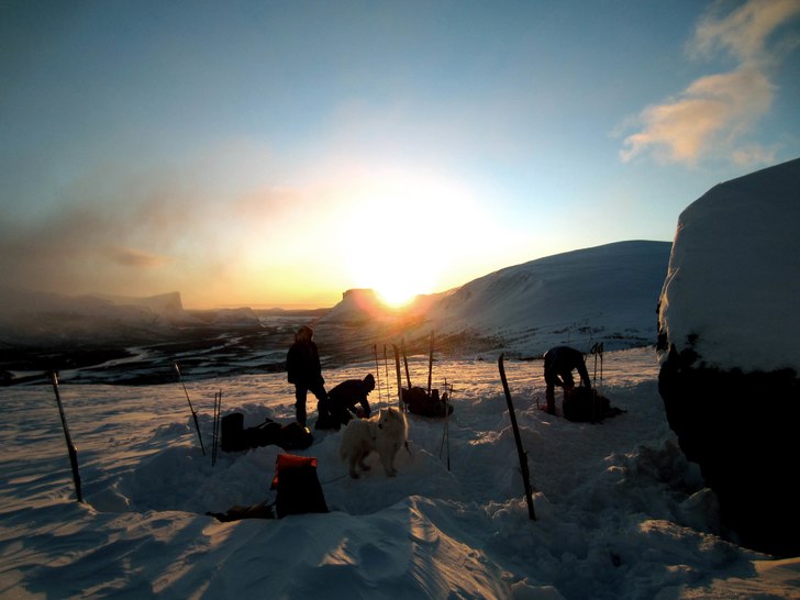 Camp III på Wolrath International Winter Expediti. Foto: Staffan Rosvall. Åkare: Samojeden Nikita.