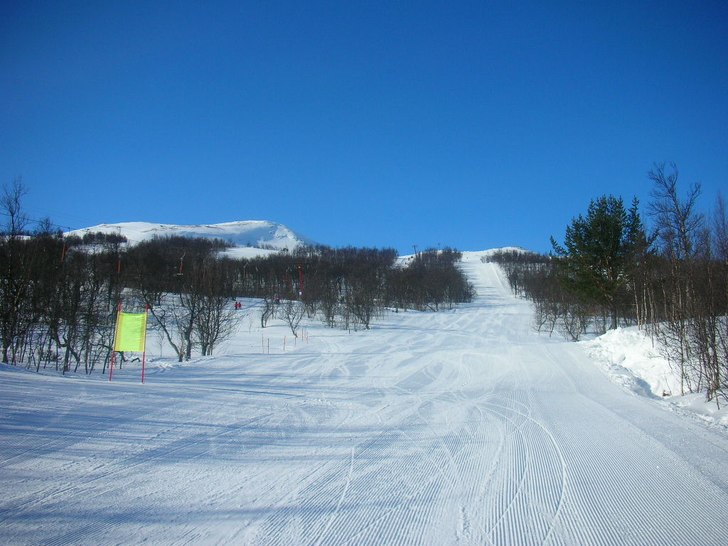 Foto: Gustaf Säfström.