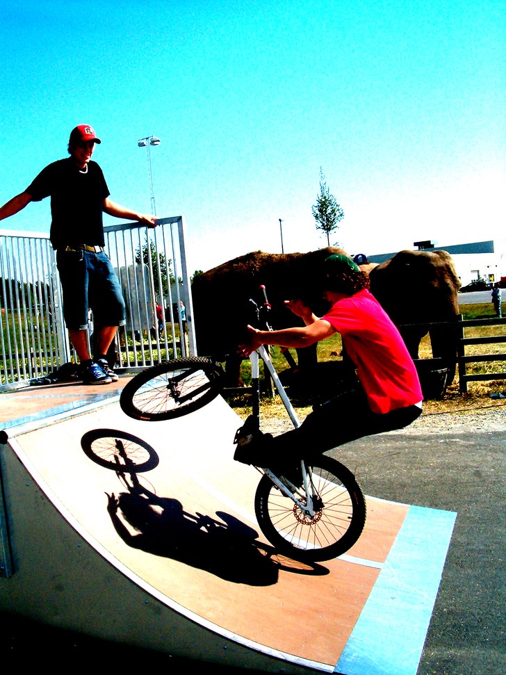 En barspin-to-fakie. OBS ! Titta på elefanterna i. Foto: Viktor Pettersson. Åkare: jaug.