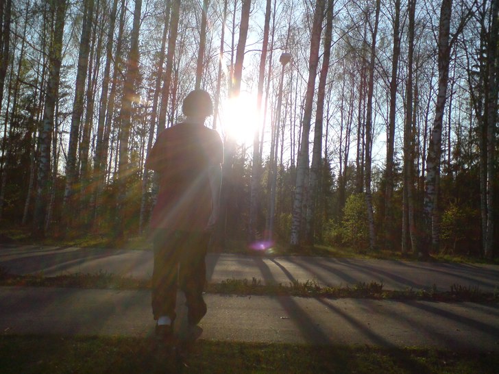 han dog. Foto: kim skog. Åkare: eric johansson (kruxelidux).