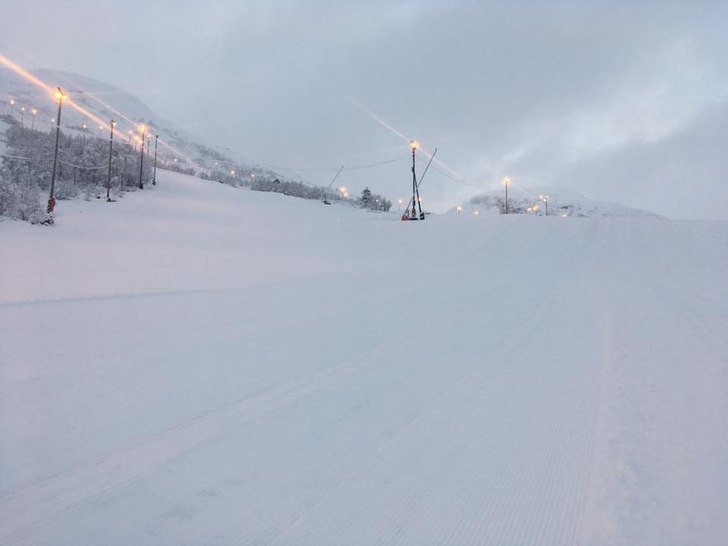 21.2.2017 - NYSNØ!
Endelig kom det natursnø, 15 .