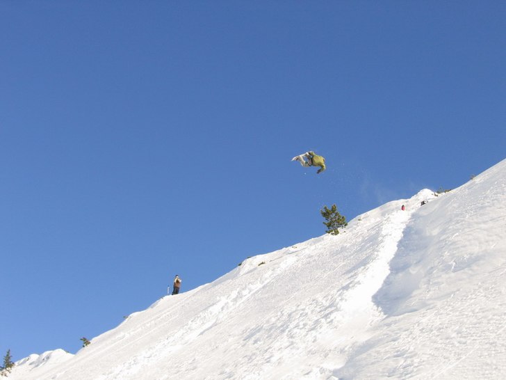 Foto: Fredrik Falkman. Åkare: Tristan.