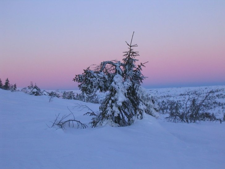 Så här ser det ut utanför kommersen i Sälen.. Foto: Papparazzi P-O.
