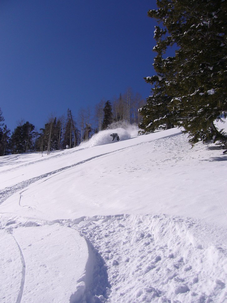 Foto: Magnus Svensson. Åkare: Johan Isaksson.