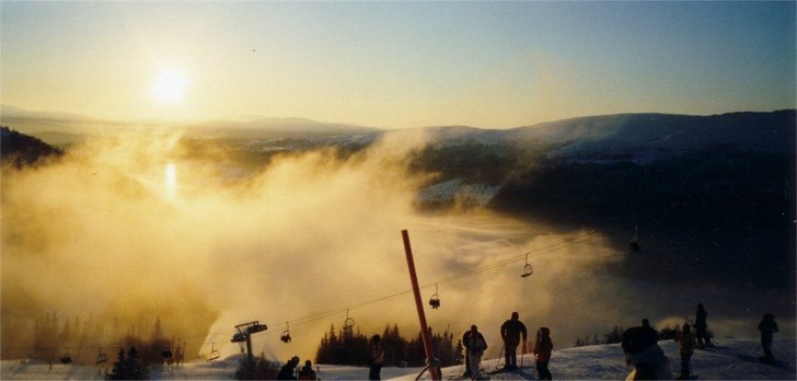 Foto: Markus Furendal. Åkare: --.