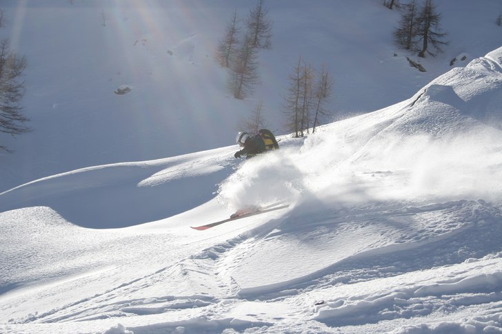 Foto: Harold-Rider Batiste. Åkare: Ulf Hammarmyr.