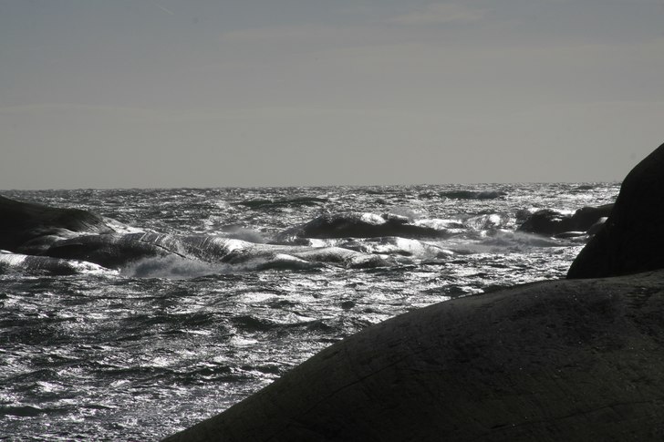 Blåsigt. Foto: Lars Walker.